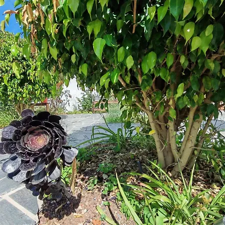 El Poleo 1 Casa vacanze